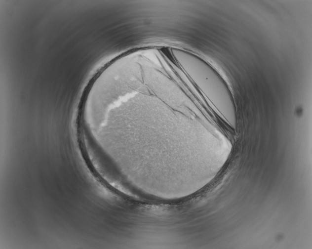 X0000116670995201001251235