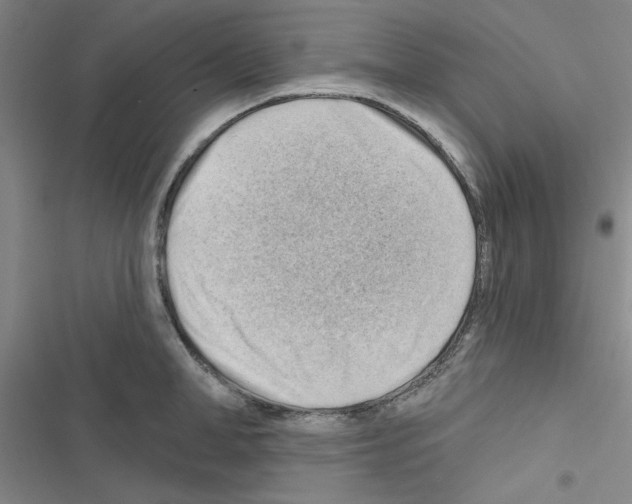 X0000116670998201001251235