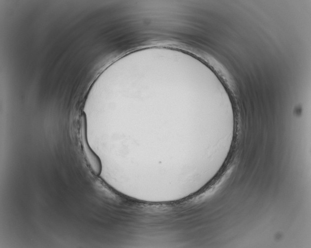 X0000116671001201001251235