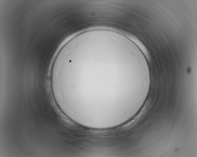 X0000116671004201001251235