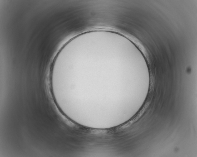 X0000116671006201001251235