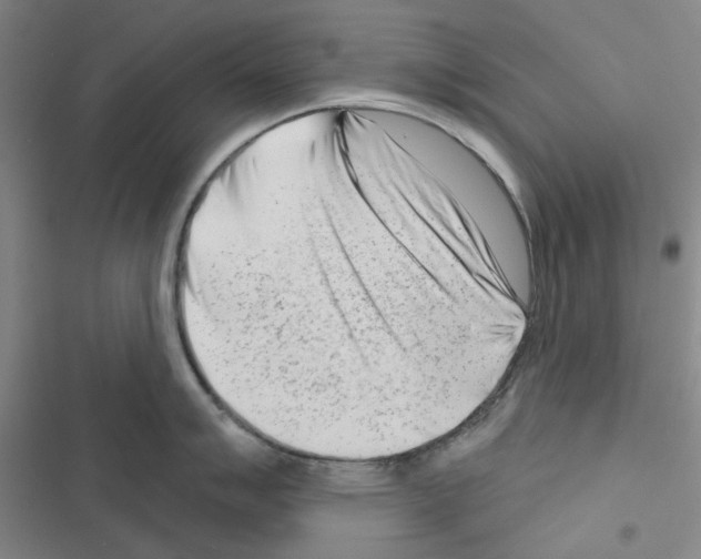 X0000116671007201001251235