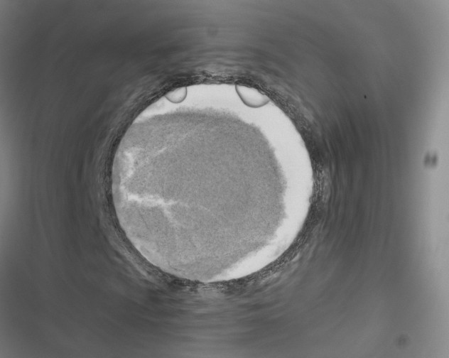 X0000116671009201001251234
