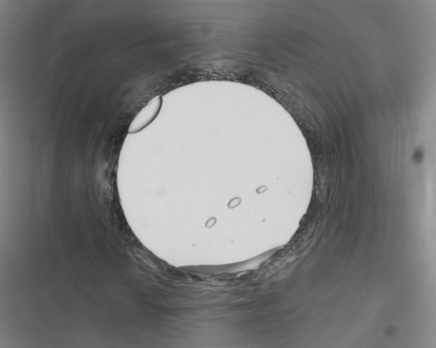 X0000116671010201001251234