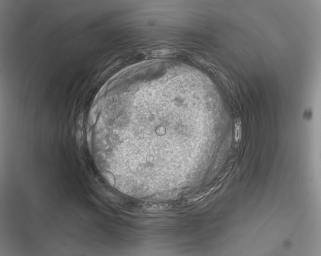 X0000116671011201001251234