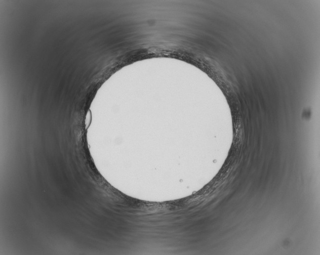 X0000116671012201001251234