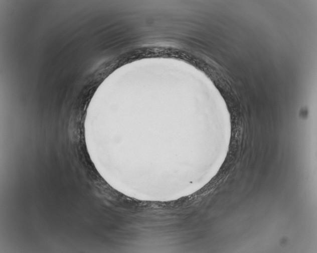 X0000116671014201001251234