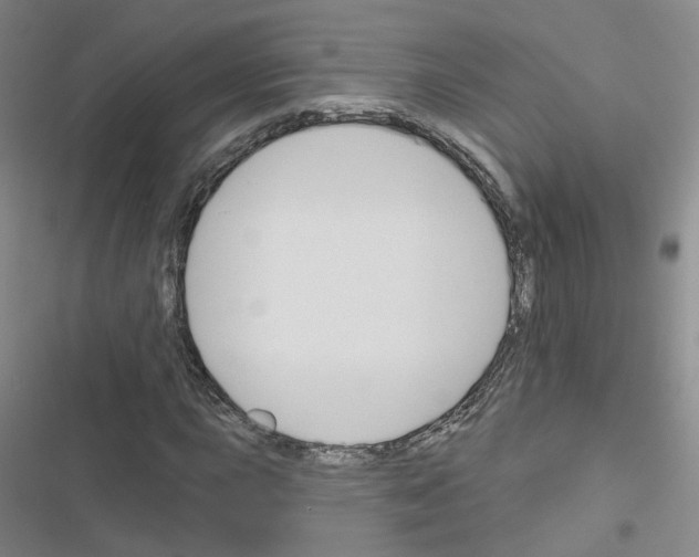 X0000116671015201001251234