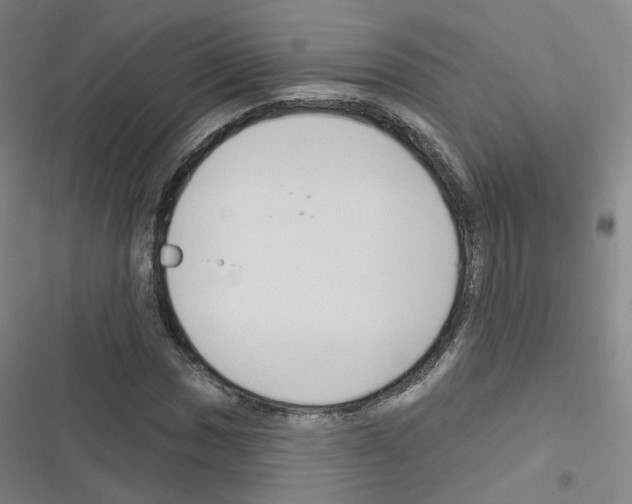 X0000116671017201001251234