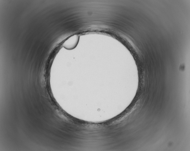 X0000116671018201001251234