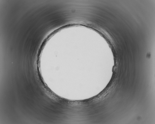 X0000116671020201001251234