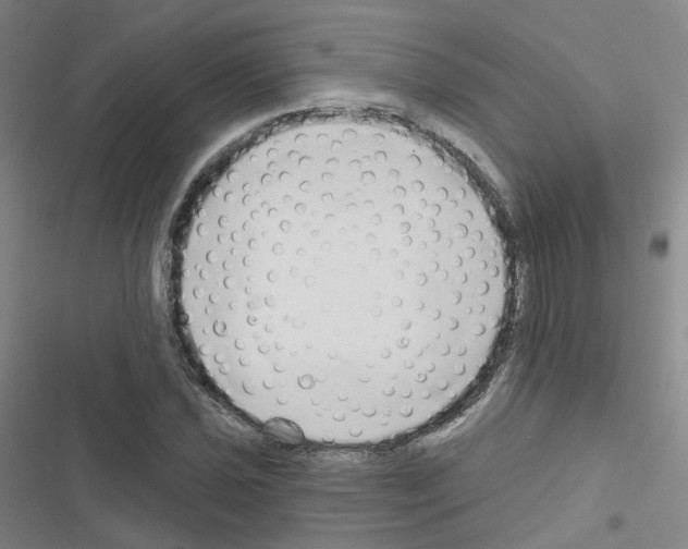 X0000116671021201001251234