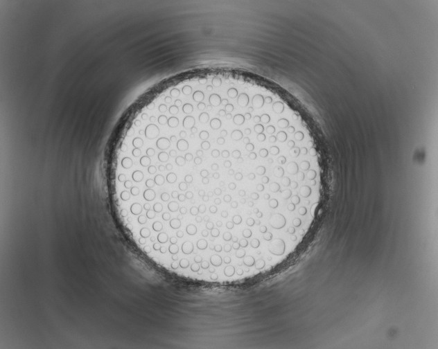 X0000116671022201001251234