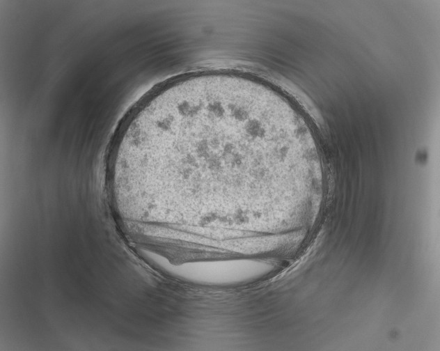 X0000116671023201001251234