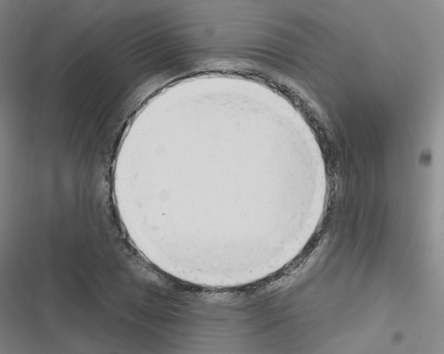 X0000116671025201001251234