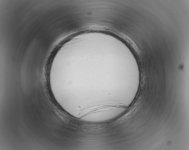 X0000116671027201001251234