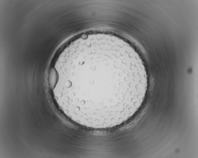 X0000116671029201001251234