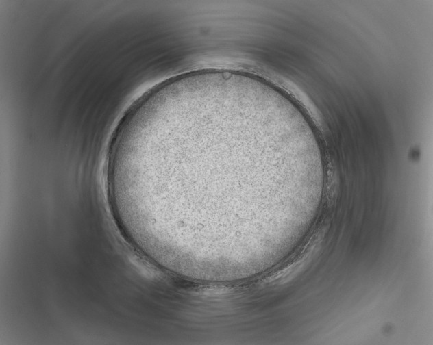 X0000116671035201001251234