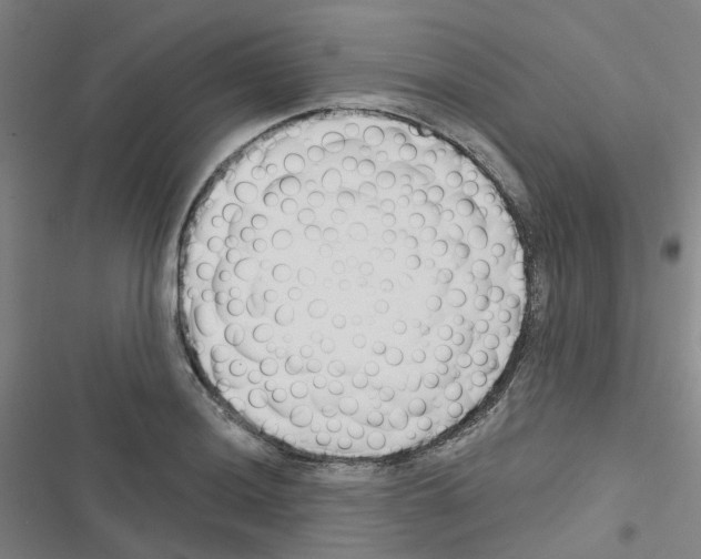 X0000116671036201001251234
