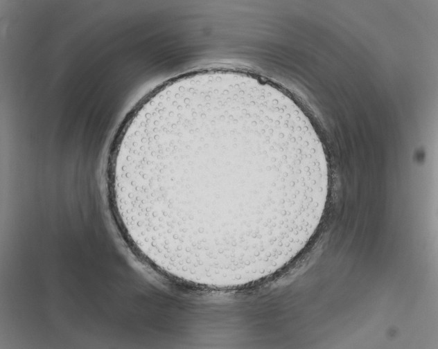 X0000116671038201001251234