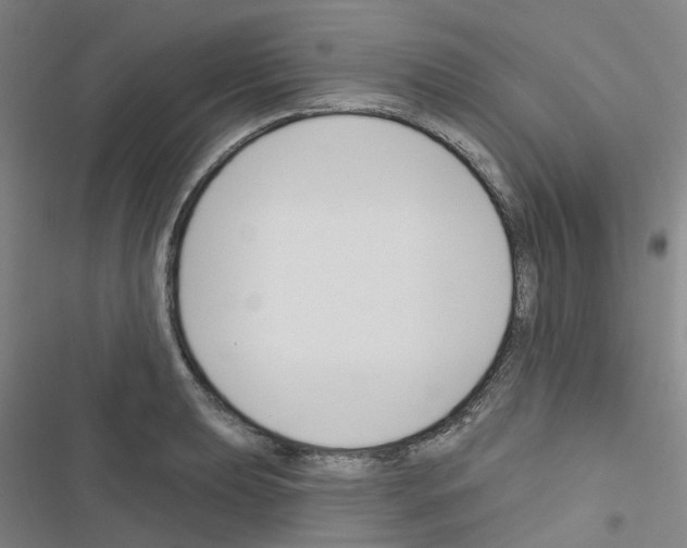 X0000116671039201001251234