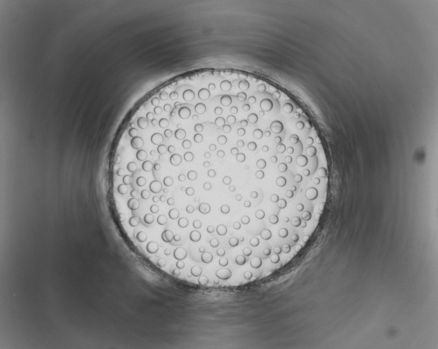 X0000116671040201001251235