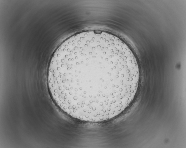 X0000116671041201001251235