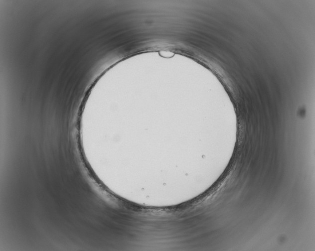 X0000116671042201001251235