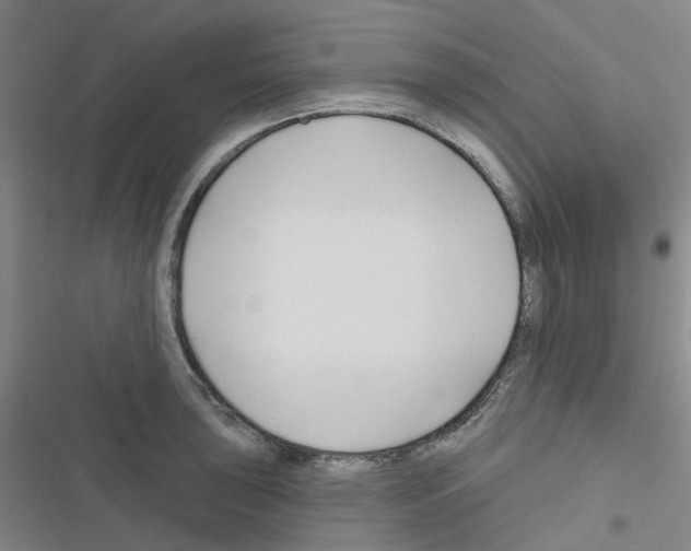X0000116671043201001251235