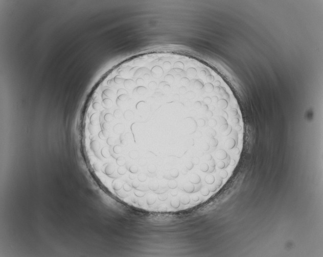 X0000116671046201001251235