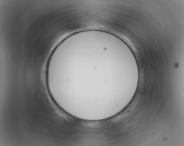 X0000116671047201001251235