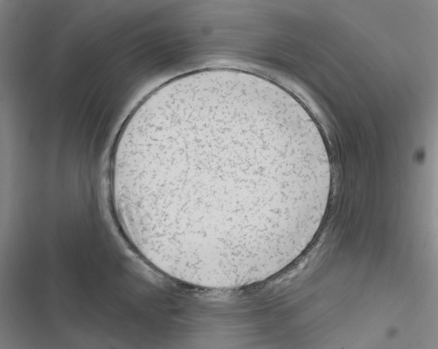 X0000116671048201001251235