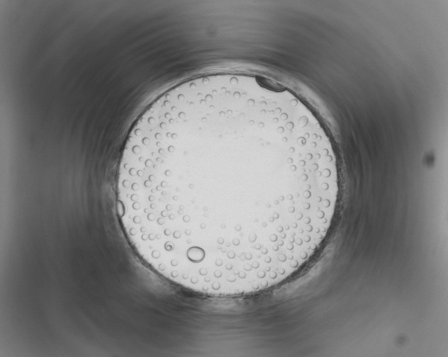X0000116671049201001251235