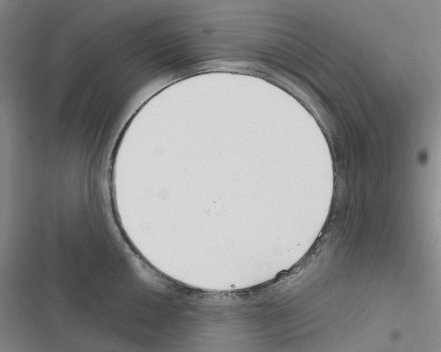X0000116671050201001251235