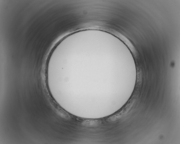 X0000116671051201001251235