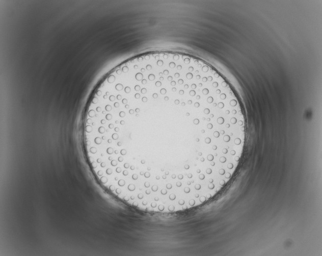 X0000116671053201001251235