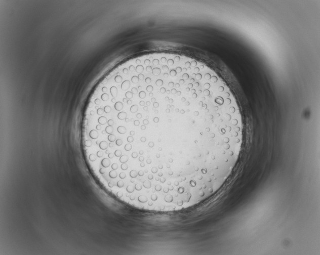 X0000116671054201001251235
