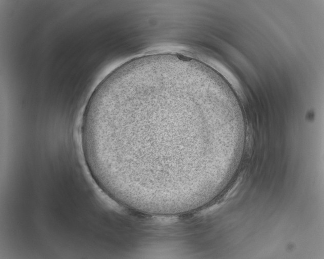 X0000116671055201001251235