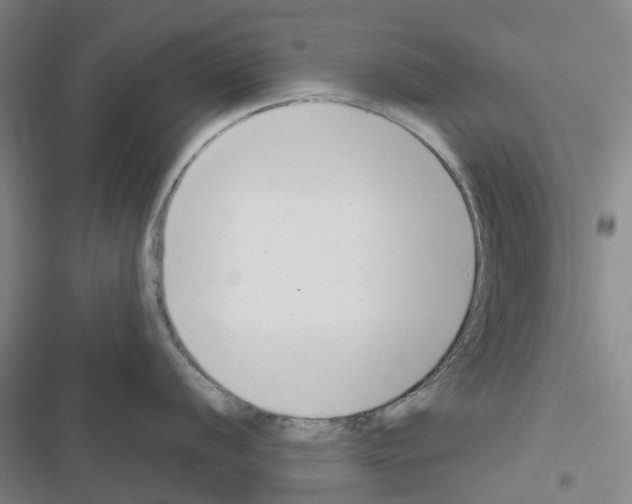 X0000116671056201001251235