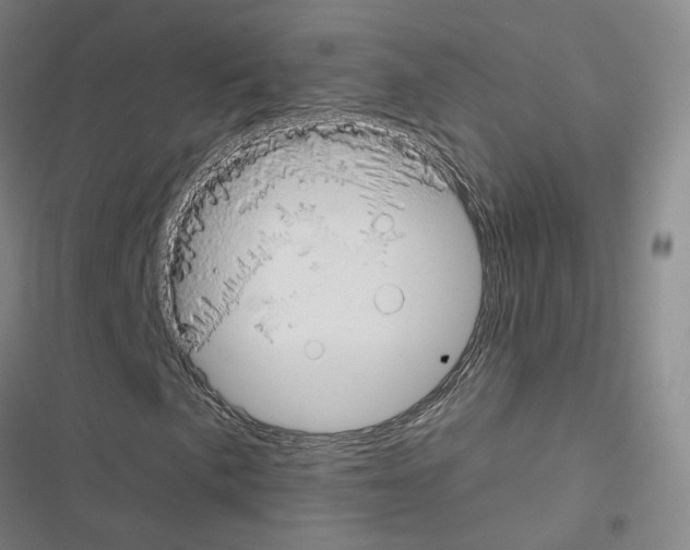 X0000116671057201001251234