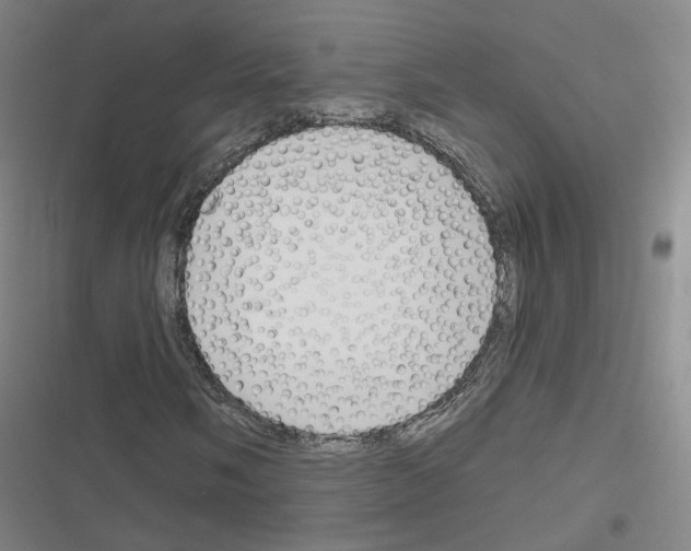 X0000116671058201001251234