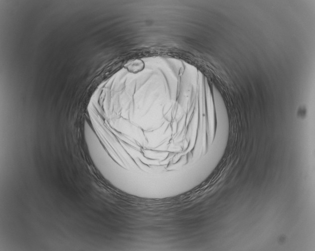 X0000116671060201001251234
