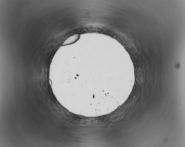 X0000116671061201001251234