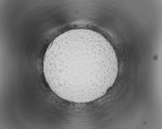 X0000116671062201001251234