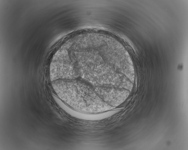 X0000116671064201001251234