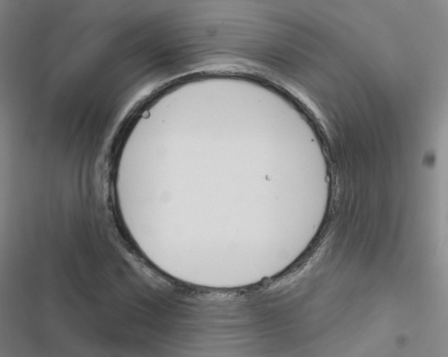 X0000116671067201001251234
