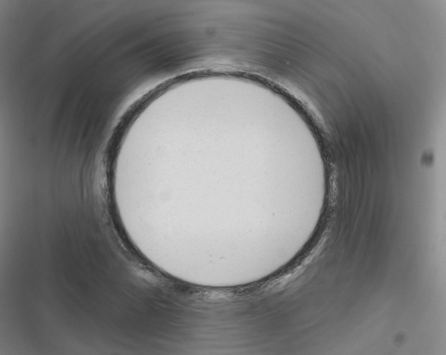 X0000116671070201001251234