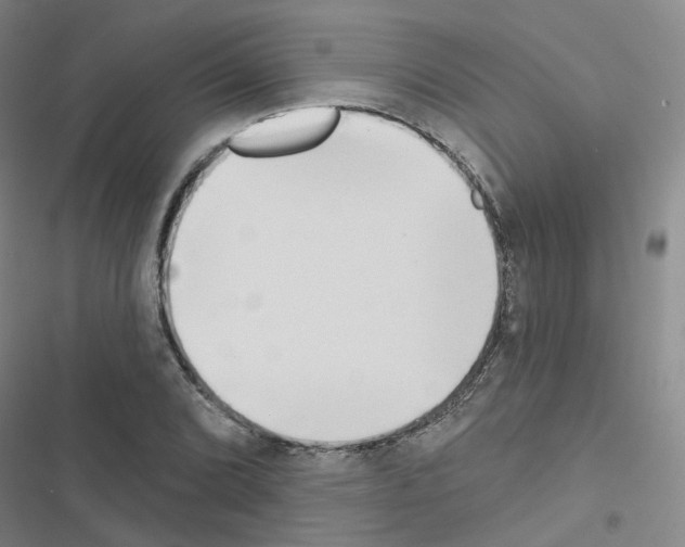X0000116671072201001251234