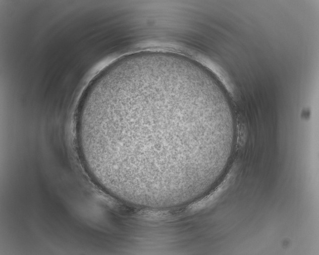 X0000116671074201001251234