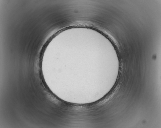 X0000116671075201001251234